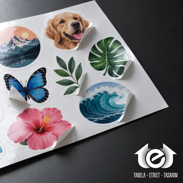 Baskes Etiket ve Sticker Baskı – Stüdyo ana ürün, üç çeyrek açı